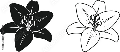 Black and white lily flowers illustration isolated on transparent background, Vector