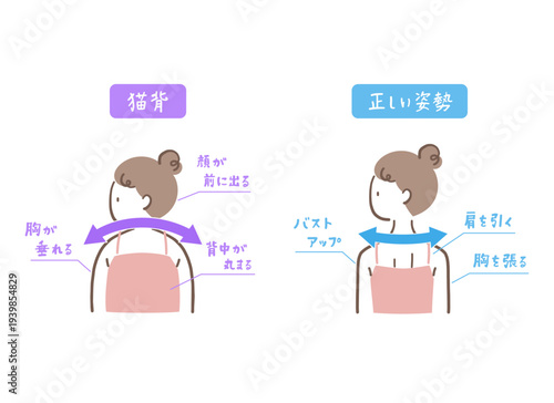姿勢のいい女性と猫背の女性の後ろ姿のイラストセット