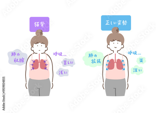 猫背で肺が収縮した女性と正しい姿勢で肺が広がった女性の比較イラストセット