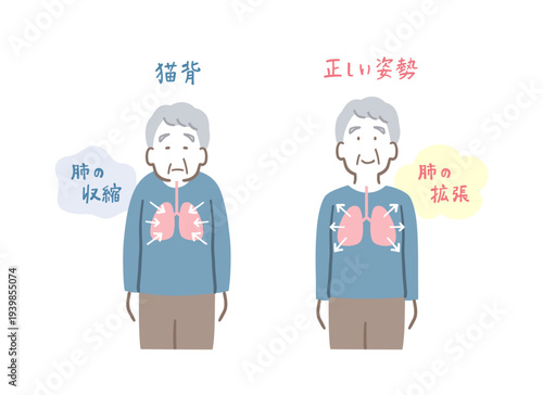 猫背で肺が収縮した高齢男性と正しい姿勢で肺が拡張した高齢男性の比較イラストセット