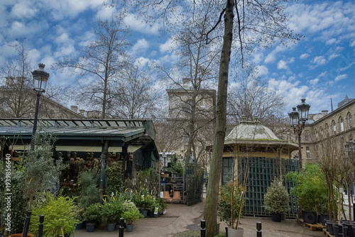 Картината върху платно Paris, the stalls of the « Marché aux fleurs » on the ile de la Cité, in the his
