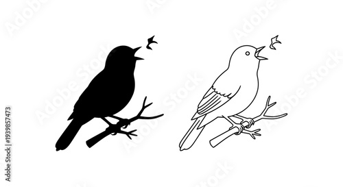 Black and white birds Vector