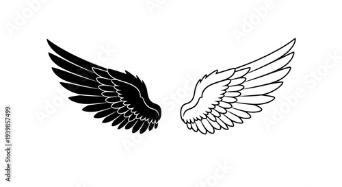 Black and white angel wings Vector
