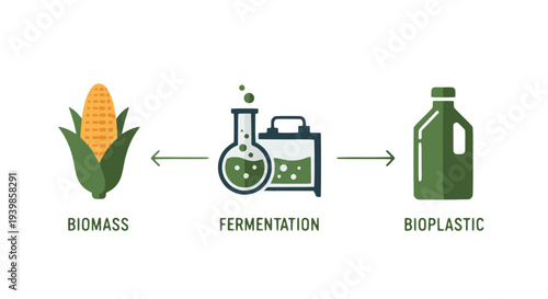 Infographic showing the production process of bioplastic from biomass via fermentation. Concept for renewable materials, sustainable chemistry, and eco-friendly manufacturing alternatives.