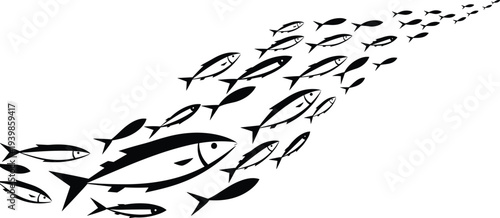 Black and white vector illustration of a school of fish swimming together in a group for marine life nature and teamwork concepts