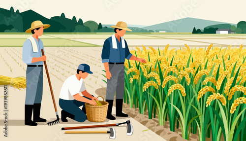 Farmers work together in a golden rice field. One harvests while another checks the crops. Third stands nearby holding a rake. Green hills rise softly in the background