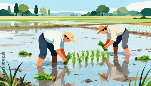 Two farmers bend in shallow, reflective rice paddies. They plant young green shoots with gentle care. Sunlight glows over calm, water-filled fields. Trees dot the distant horizon under clear skies
