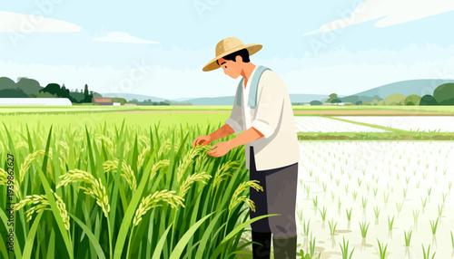 Farmer stands in lush green rice field. He examines crops with care and focus. Sunlight glows softly over rolling hills. Scene suggests calm, hardworking agriculture