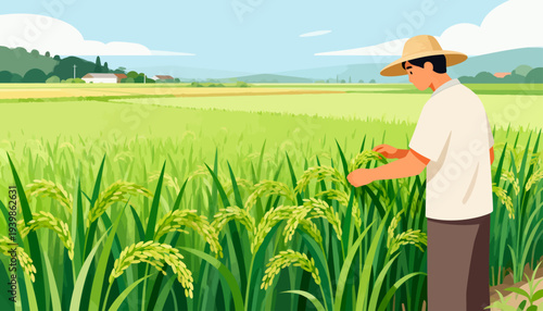 Farmer stands in golden rice field. He wears straw hat and t-shirt. Hands gently touch ripe stalks. Sunlight bathes the green rows. Distant hills frame serene view