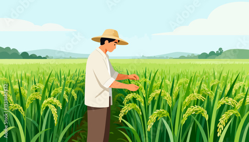 Farmer inspects rice plants in golden field. Sunlight glows over lush green stalks. He wears straw hat and simple shirt. He touches stalks, checks growth carefully. Peaceful countryside scene, calm