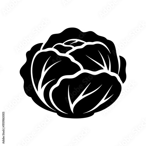 cauliflower vegetable ilustration