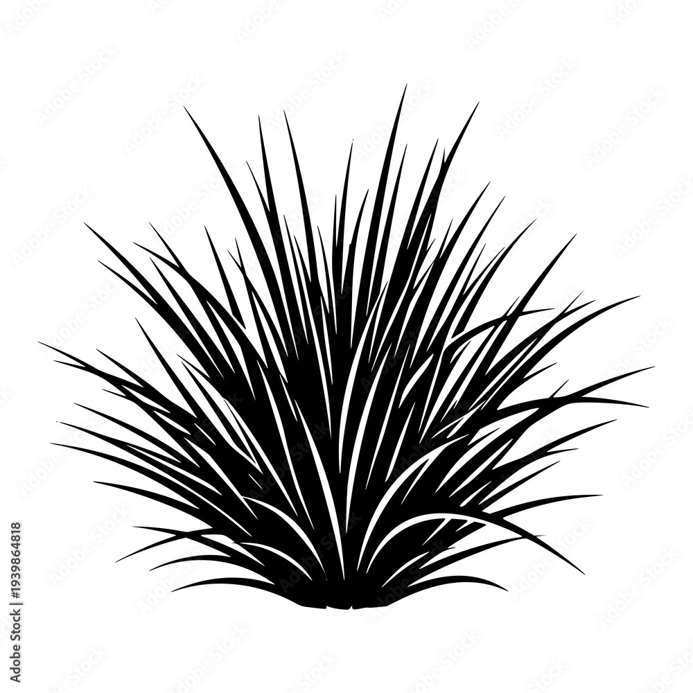 Fototapeta premium Wild Grass Plant