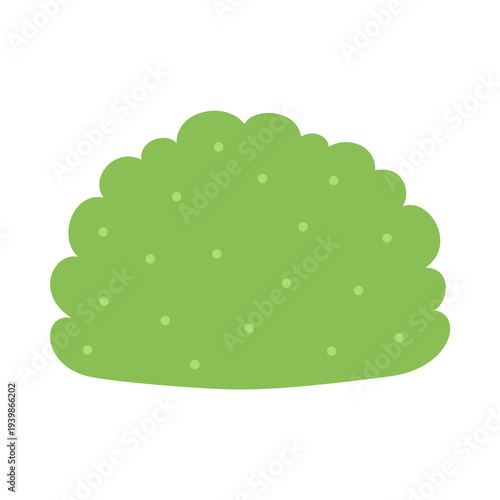 Green bush shrub plant design element isolated on white background.