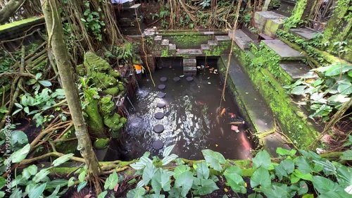 Ancient temple in Ubud Monkey Forest Bali