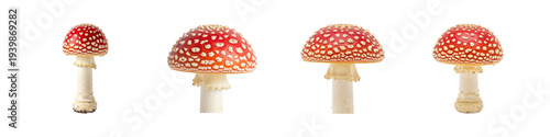 3D Cartoon Mushroom Set Isolated on Transparent Background Cutout PNG Set
