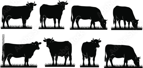 Collection of five elegant female silhouettes wearing stylish summer dresses and swimwear in various poses for fashion and beauty design.