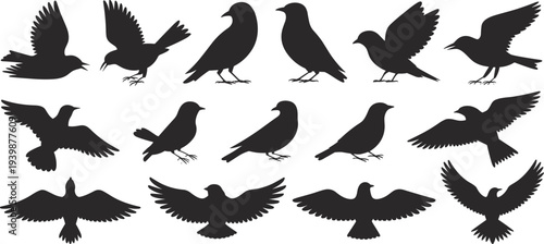 Black bird silhouettes collection set of flying perched birds isolated vector illustration for wildlife design logos tattoos decals clipart bundle