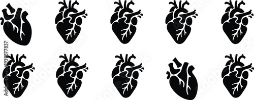 Human anatomical heart silhouette collection medical organ vector icons set cardiovascular anatomy symbol healthcare biology illustration isolated design