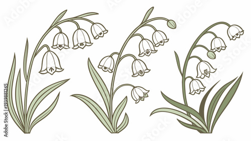 Set of Three Minimalist Bell Flower Botanical Vector Illustrations