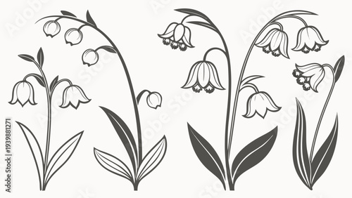 Lily of the Valley Flower Vector Line Art Botanical Set