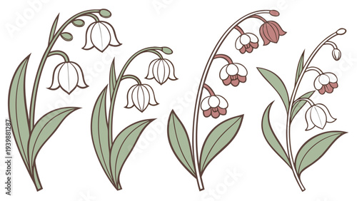 Vintage Lily of the Valley Vector Floral Illustration Set