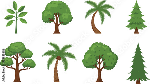 Collection of different green trees including palm, pine and leafy forest trees vector illustration set, nature plant icons isolated for landscape design