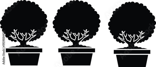 Set of decorative potted topiary trees silhouette vector illustration, ornamental garden plants in pots, minimalist botanical design elements isolated for landscape and decoration