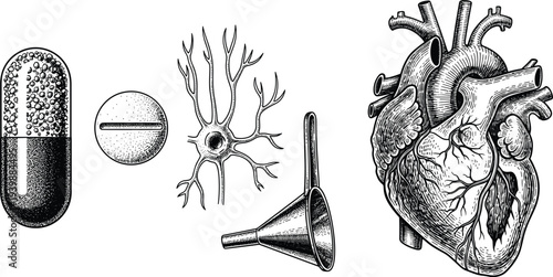 Vintage engraved medical anatomy illustration set, human heart, neuron cell, ear anatomy, medicine capsule, retro scientific sketch collection
