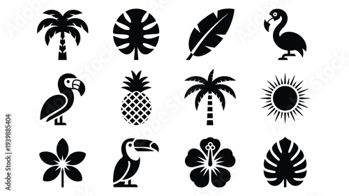Tropical vector logo pack with palm trees toucans flamingos and exotic leaves on white background