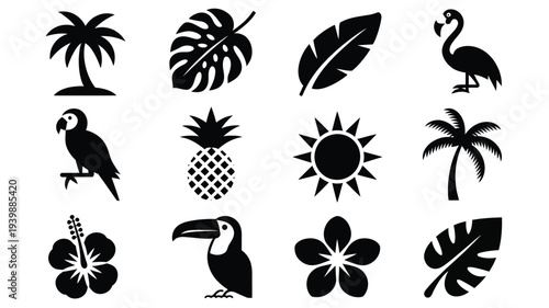 Tropical black vector silhouettes set including palm trees exotic birds flowers and fruit on white background