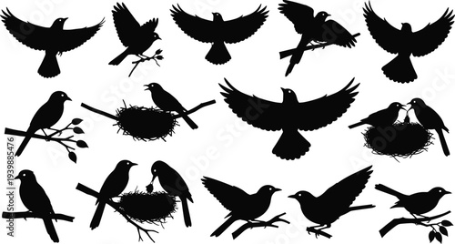 Flying birds silhouette set, black bird collection, different bird species shapes, wildlife avian silhouettes isolated, nature animal flight illustration