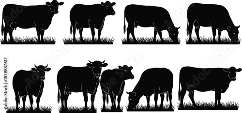 Set of five elegant female silhouettes wearing various stylish fashion outfits including dresses and swimwear for beauty and lifestyle design.