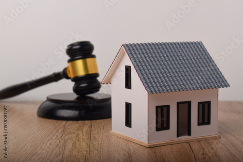 Cuadro en lienzo Judge gavel with a miniature house