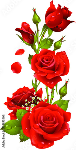 Red roses bouquet with green leaves on white background, floral arrangement