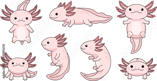 Axolotl cartoon characters collection with different poses and expressions, cute pink aquatic salamander animals vector illustration set