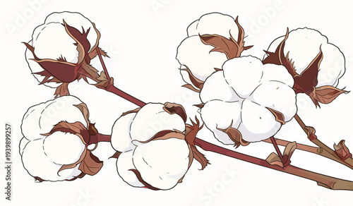 Cotton plants show fluffy white bolls on their branches. The background is plain, highlighting the plants' details.