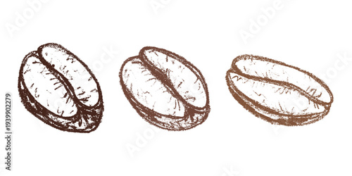 Set of hand drawn fresh roasted coffee bean Arabica robusta seed doodle Single element for design print packaging label decor