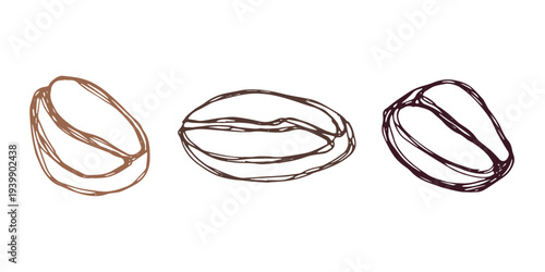 Set of hand drawn fresh roasted coffee bean Arabica robusta seed doodle Single element for design print packaging label decor
