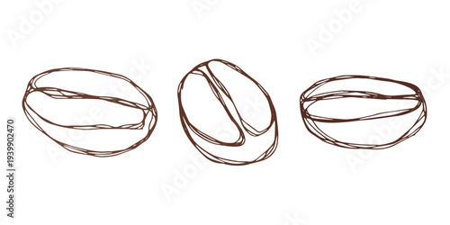 Set of hand drawn fresh roasted coffee bean Arabica robusta seed doodle Single element for design print packaging label decor
