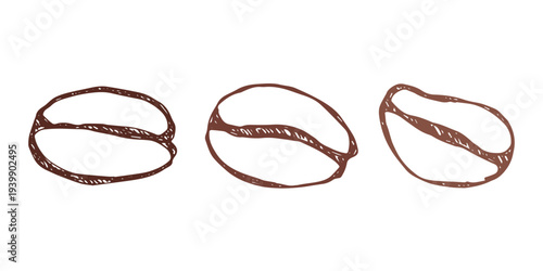 Set of hand drawn fresh roasted coffee bean Arabica robusta seed doodle Single element for design print packaging label decor