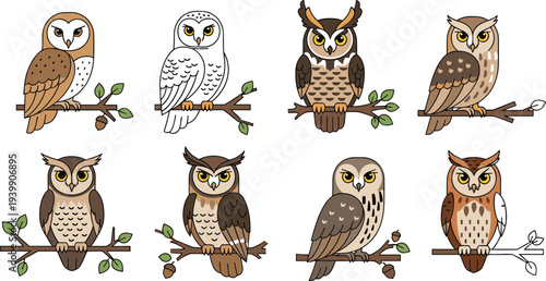 Set of Flat Owl Vector Illustrations Featuring Various Species Perched on Branches for Nature Education, Wildlife Graphics, Bird Watching Logos, and Autumn Designs