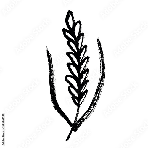 Hand drawn cereal wheat oat rye barley rice ears spikelet clipart Organic wheat bread agriculture farming harvest healthy food Single element for print packaging label design decor