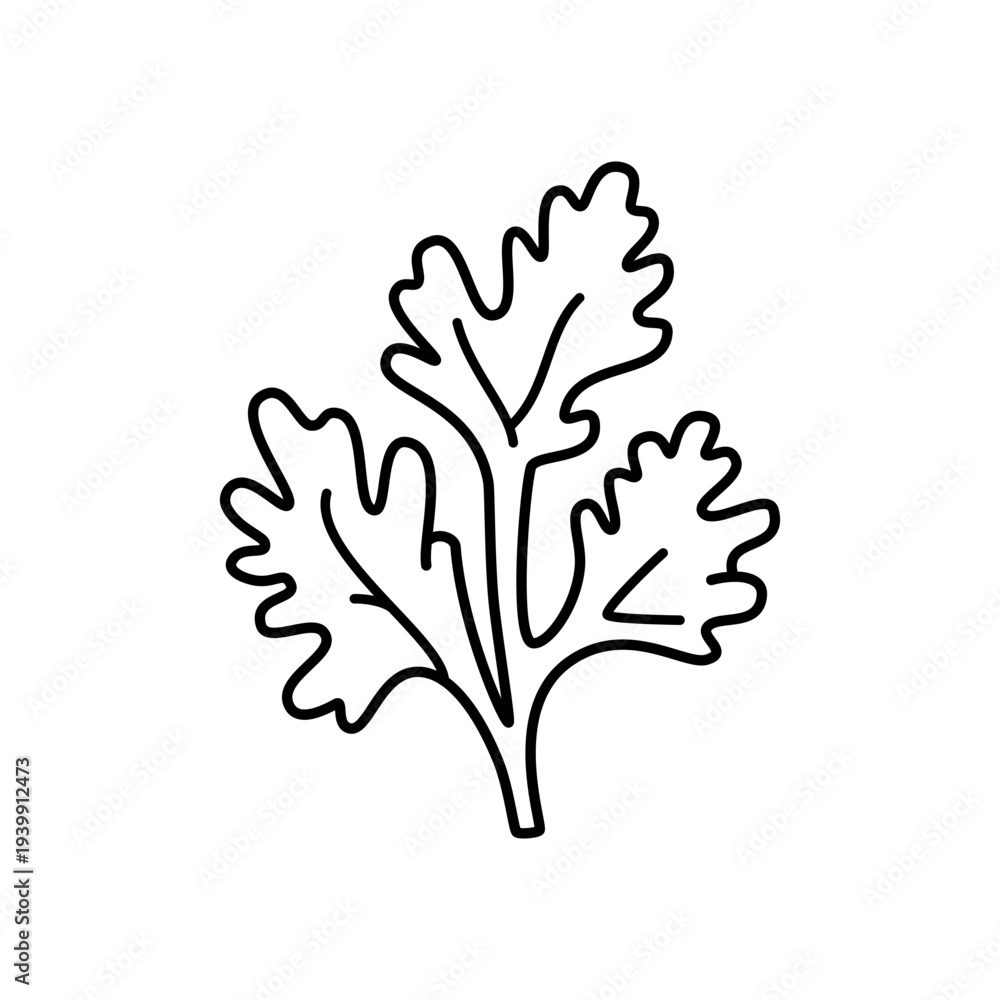 Obraz premium Coriander leaf line icon, cilantro herb sprig outline symbol, minimalist vector pictogram for fresh cooking ingredient, organic plant, and healthy food concept
