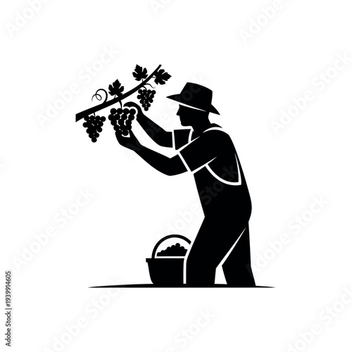 Grape Harvester Silhouette.
