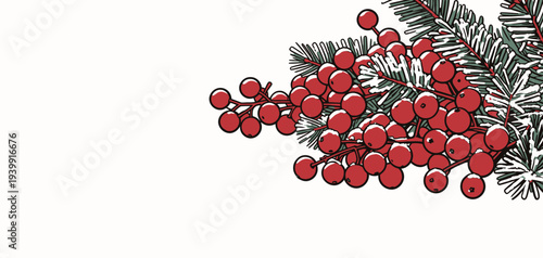 Red berries and green leaves come together in a decorative arrangement for winter celebrations during the holiday season.