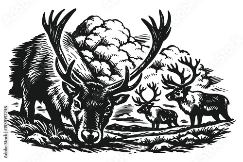 Majestic Reindeer with Large Antlers in a Tundra Winter Landscape Woodcut Vector Illustration Featuring Detailed Engraved Lines and Arctic Wildlife