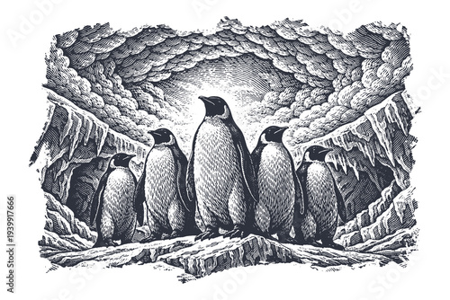 Emperor Penguin Colony in an Icy Antarctic Cave, Detailed Woodcut Vector Illustration of Arctic Wildlife in Hand Drawn Engraving Art.