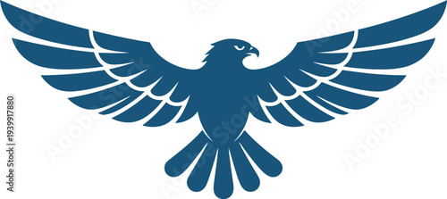 A soaring eagle in flight viewed from below with outstretched wings and feathers clearly visible