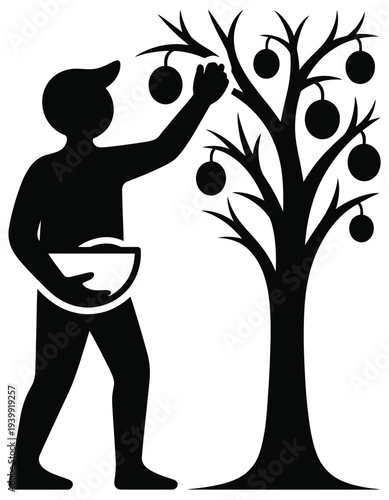 Black and white silhouette of a person picking fruit from a tree