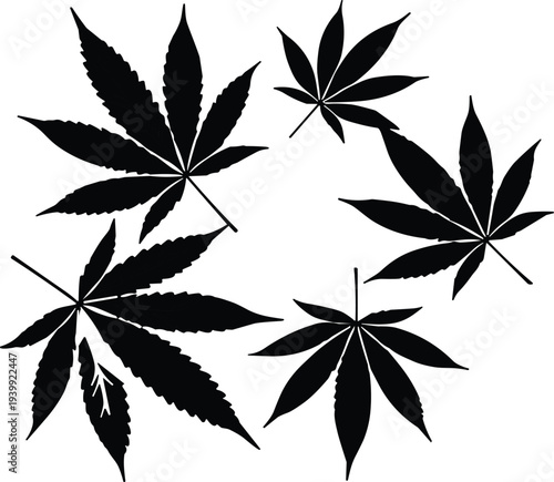 Cannabis leaf silhouettes collection black marijuana hemp leaves botanical plant set minimal vector illustration design elements